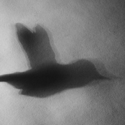 Shadow Play Sundial