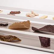 Bioplastic