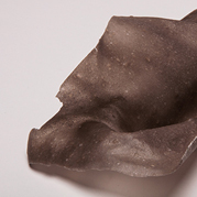 Bioplastic
