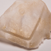 Bioplastic